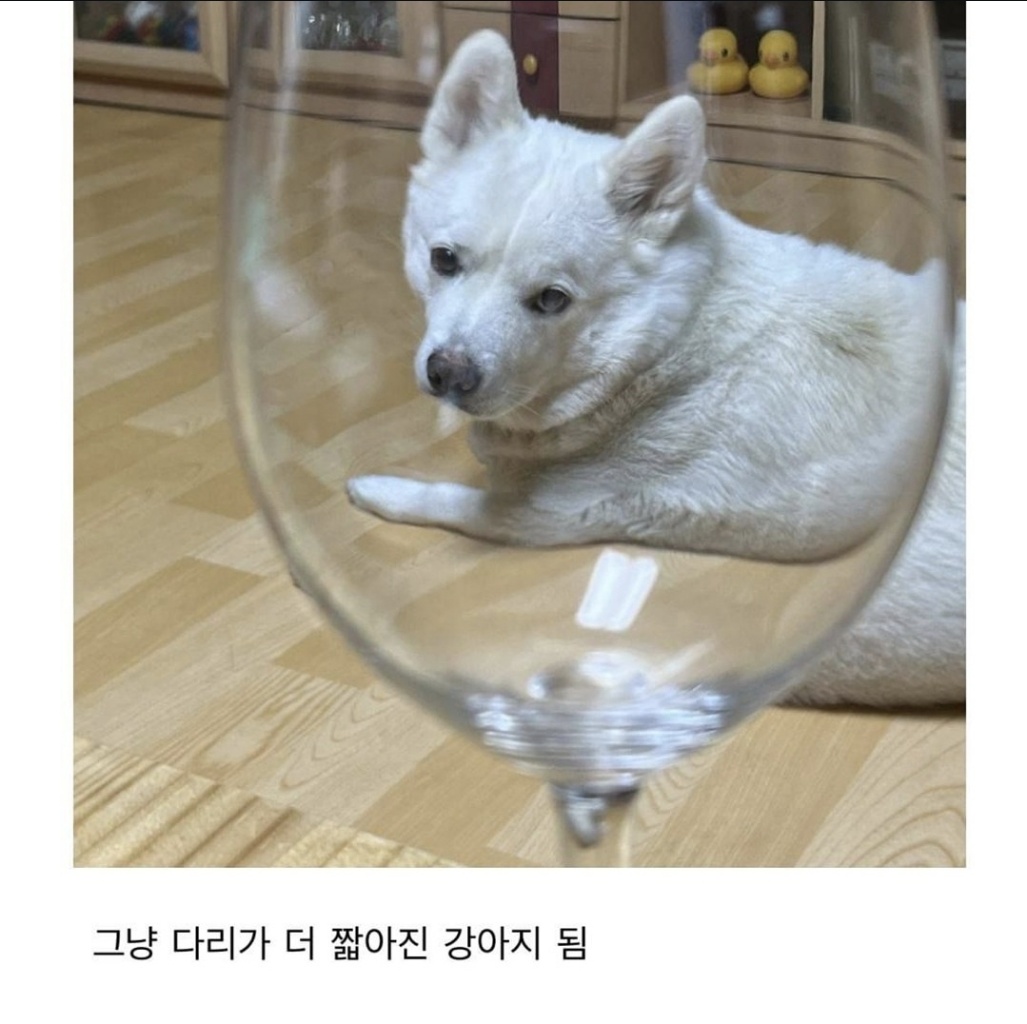 circleImage