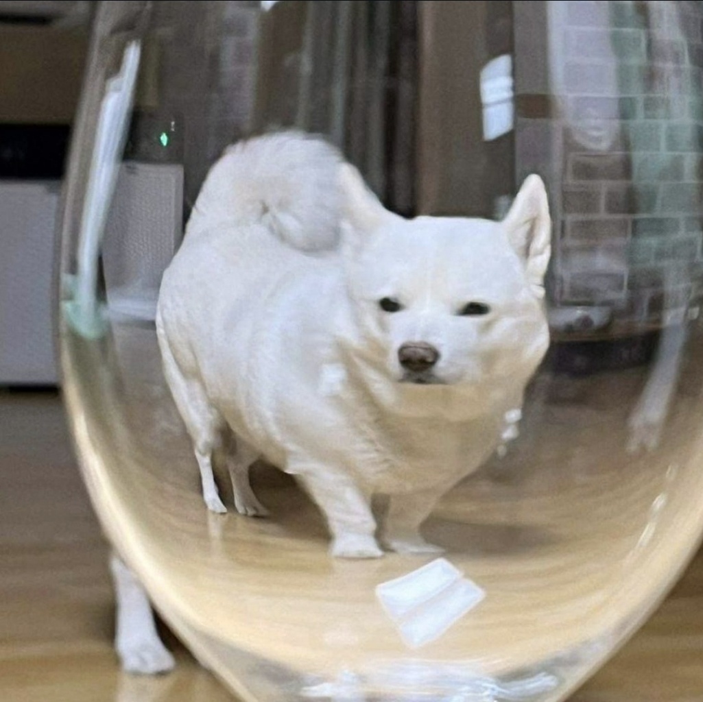 circleImage