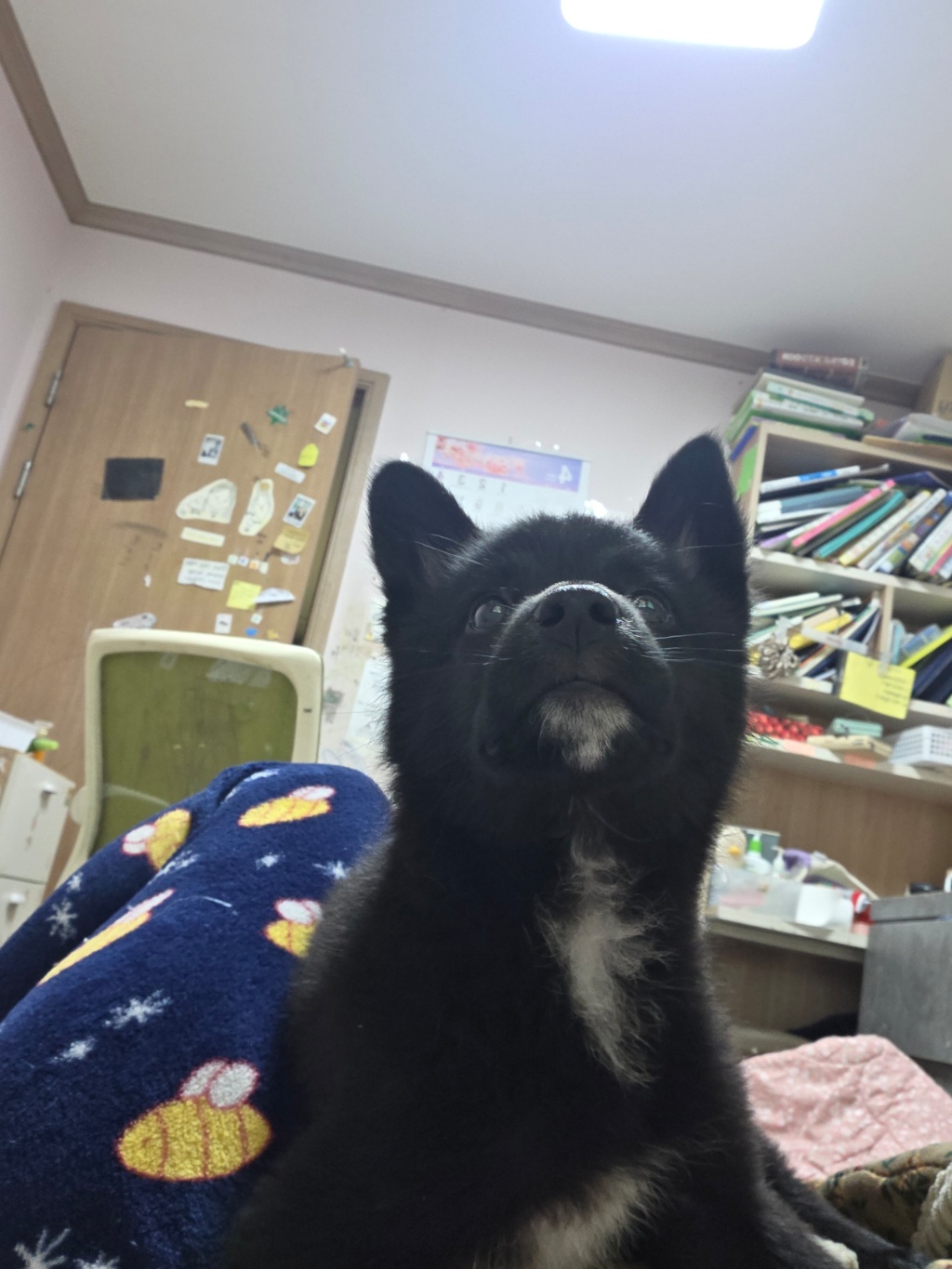 circleImage