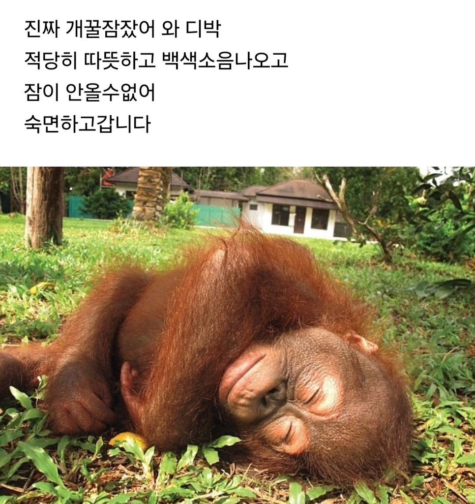 circleImage