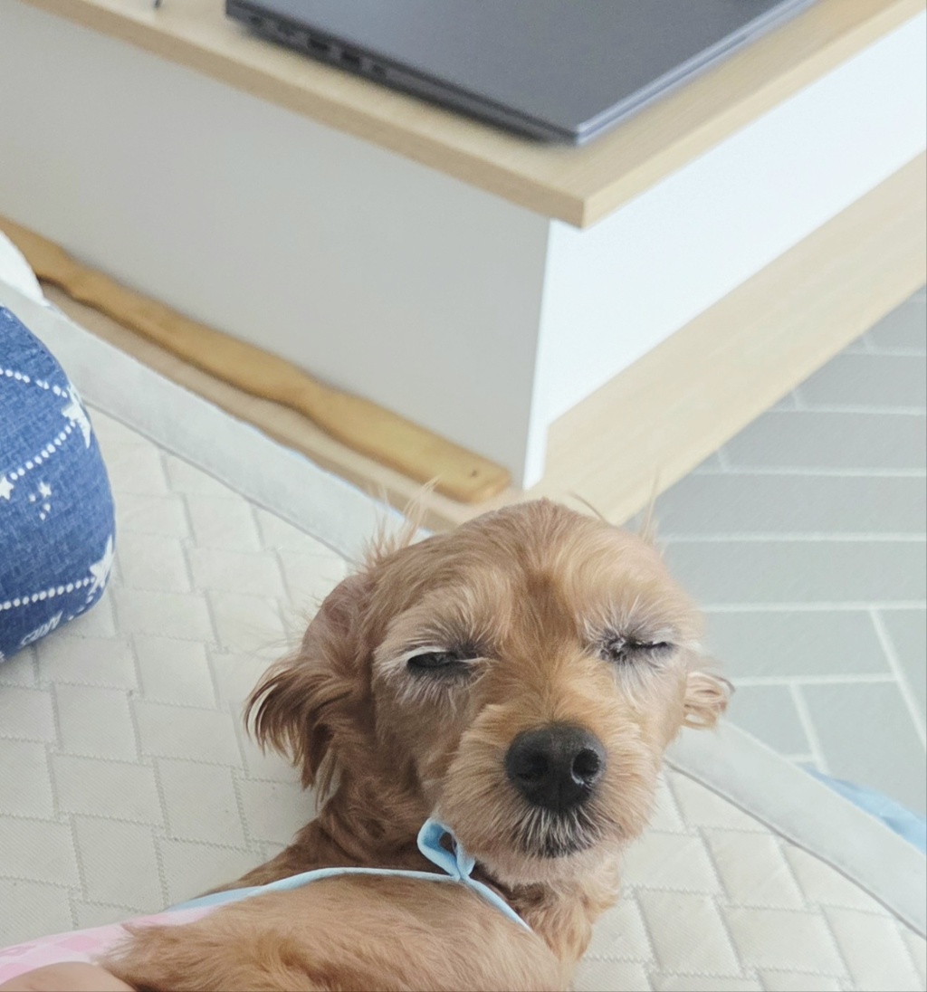 circleImage