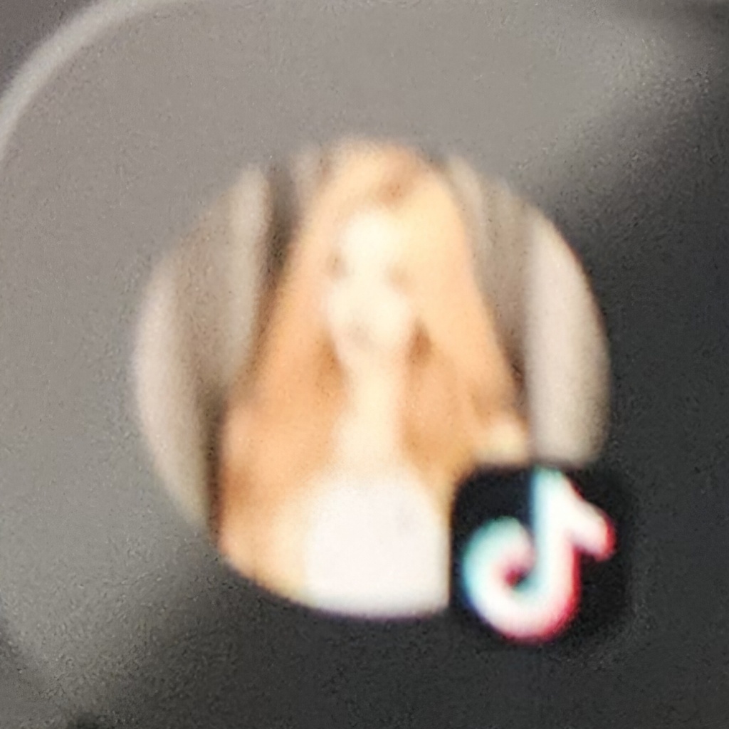 circleImage