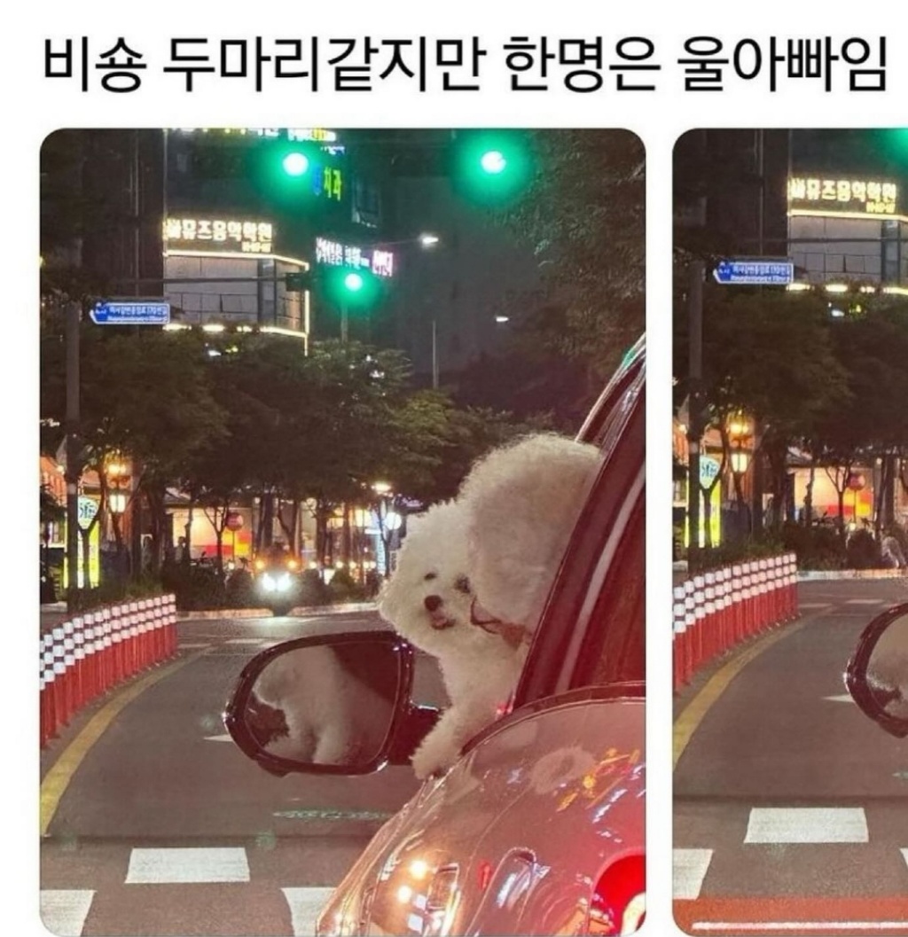 circleImage