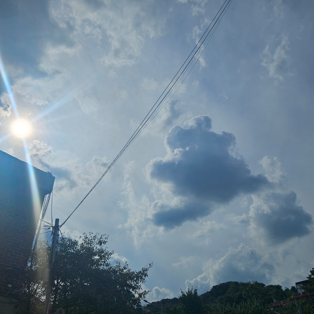 circleImage