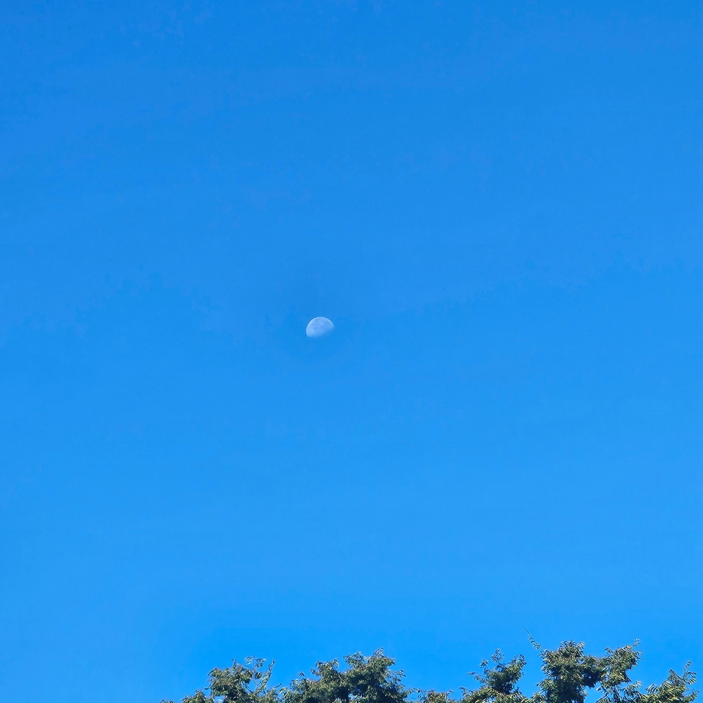 circleImage