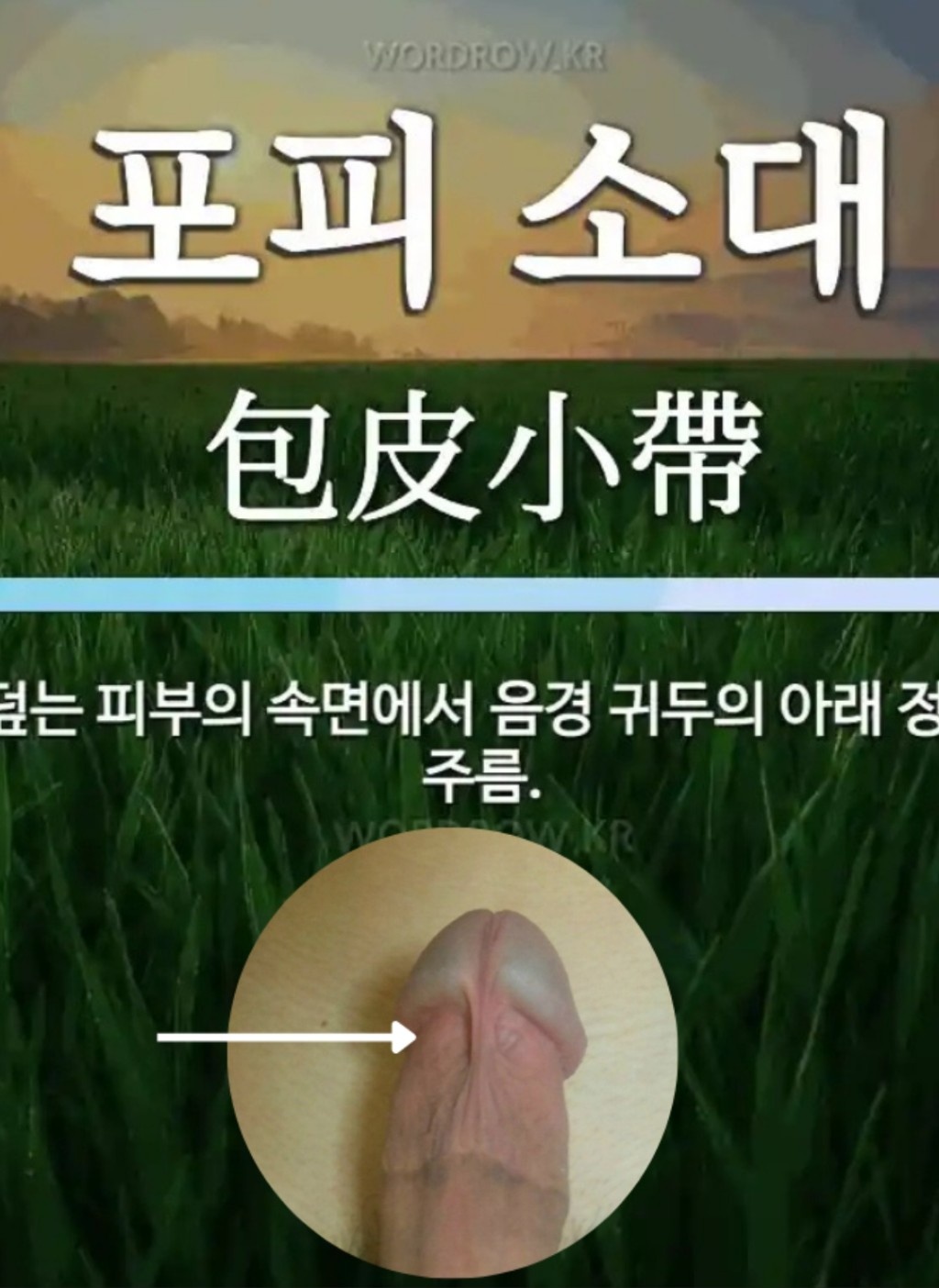 circleImage