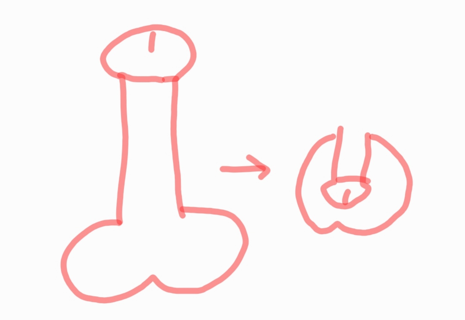 circleImage