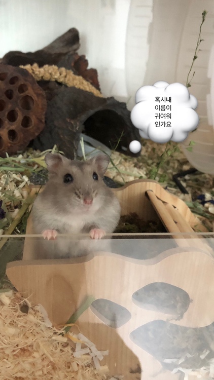 circleImage