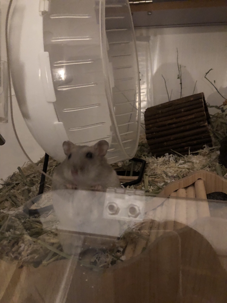 circleImage