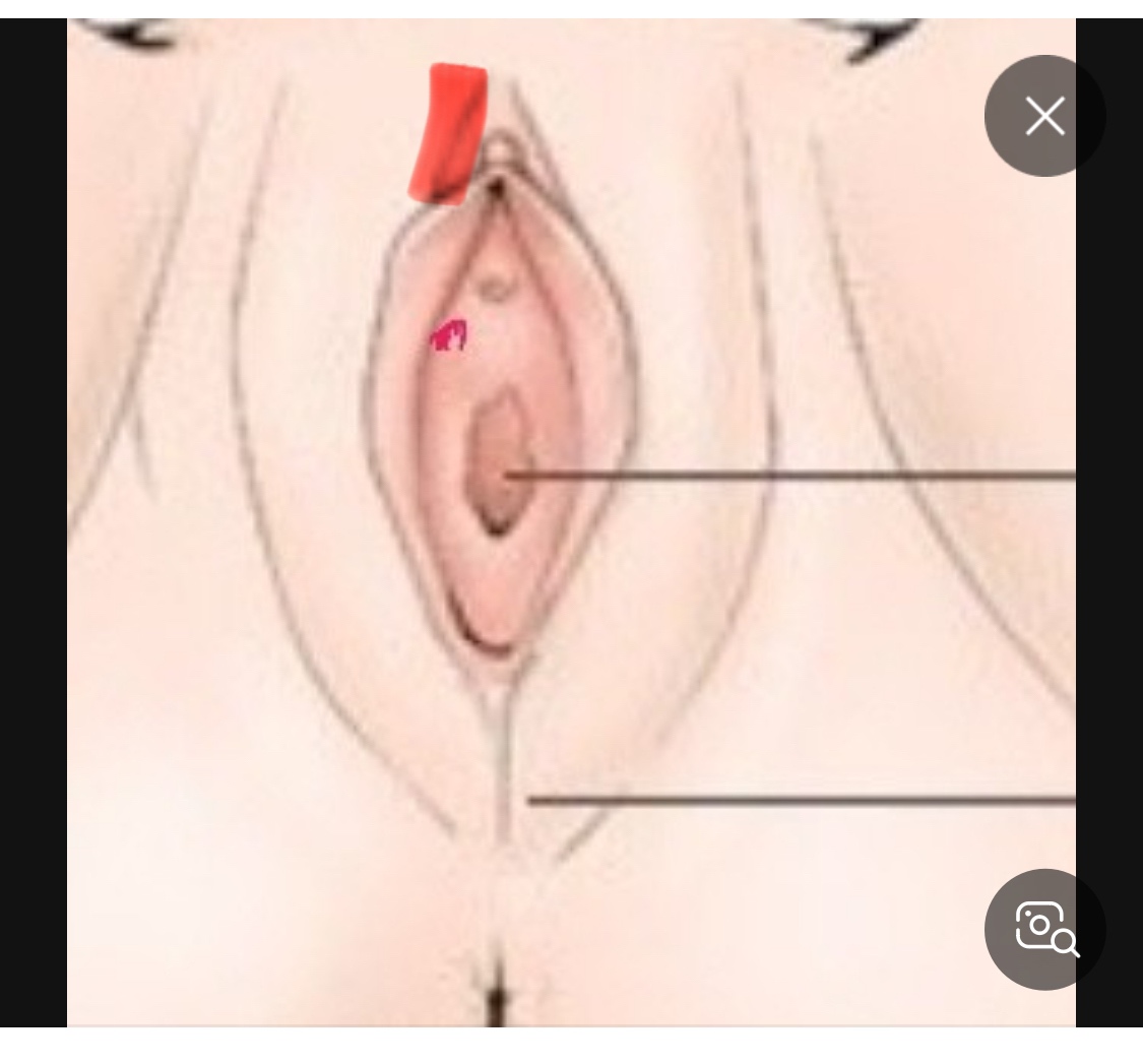 circleImage