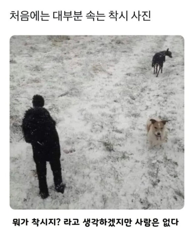 circleImage