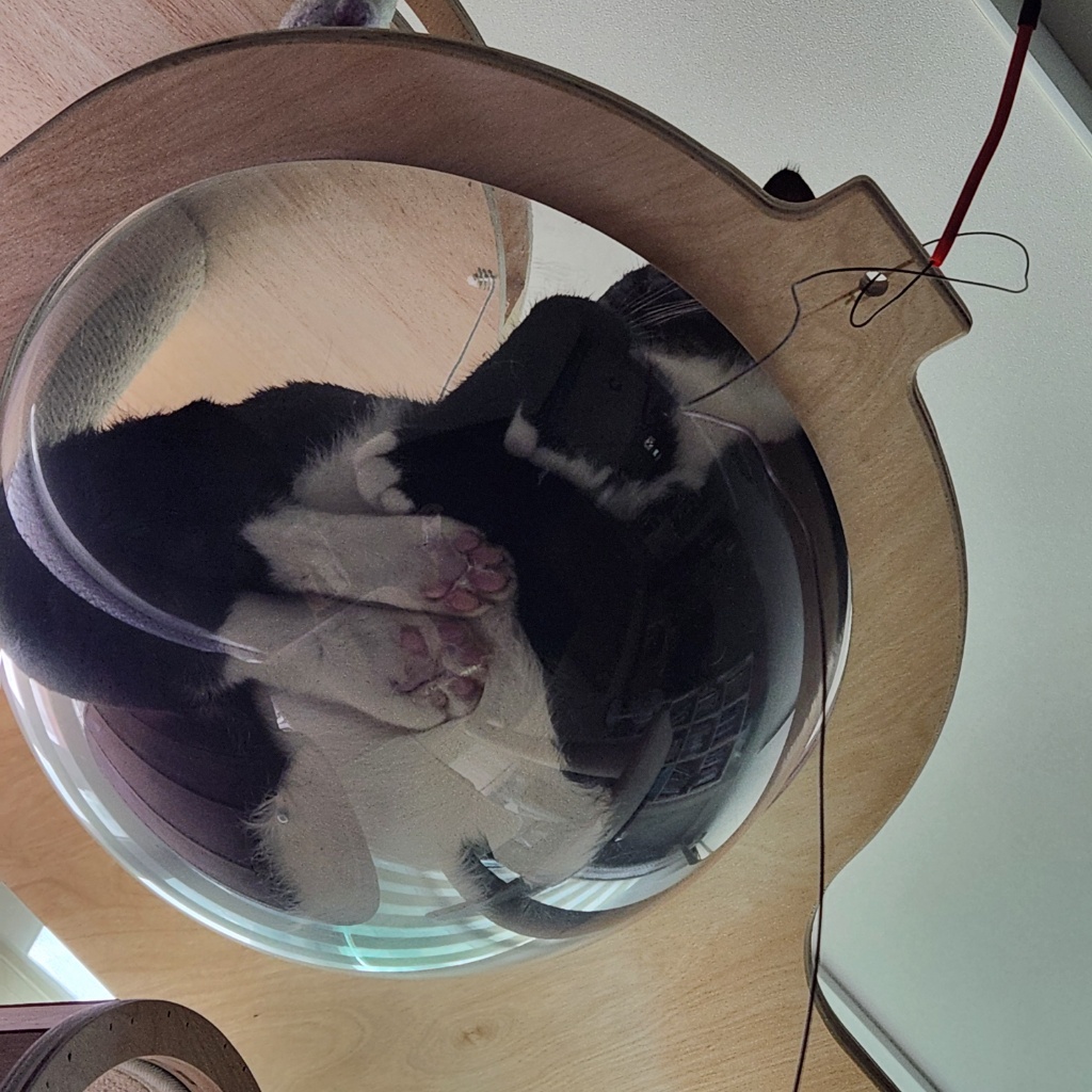 circleImage
