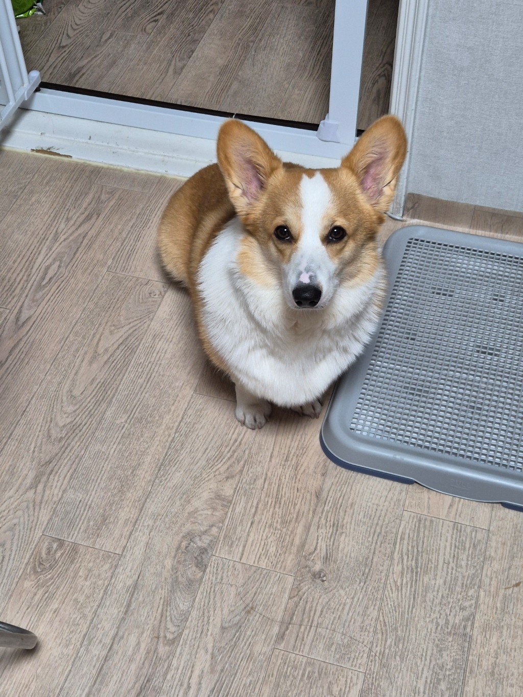 circleImage