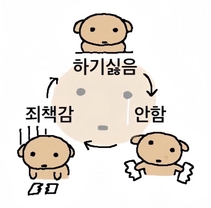 circleImage