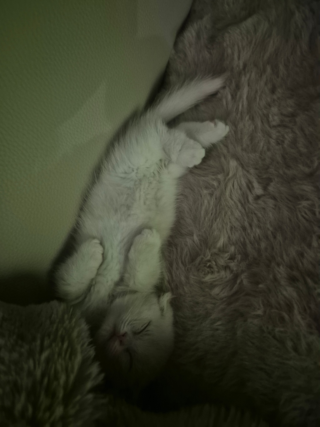 circleImage