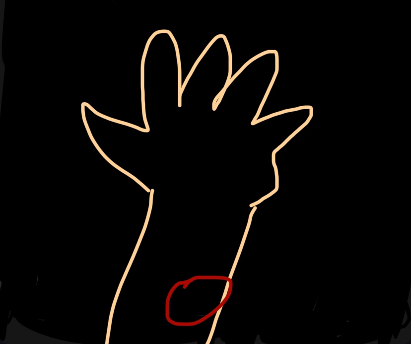 circleImage