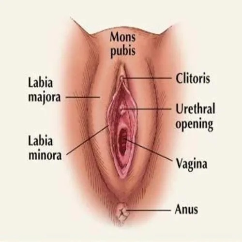 circleImage