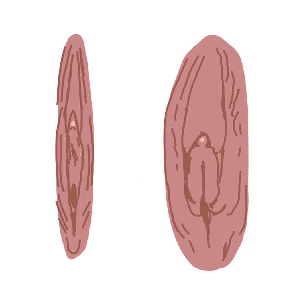 circleImage