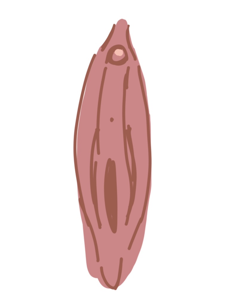 circleImage