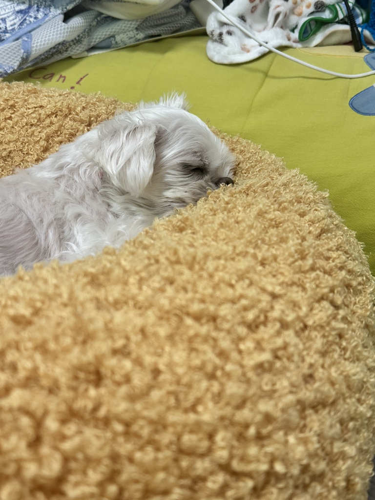 circleImage