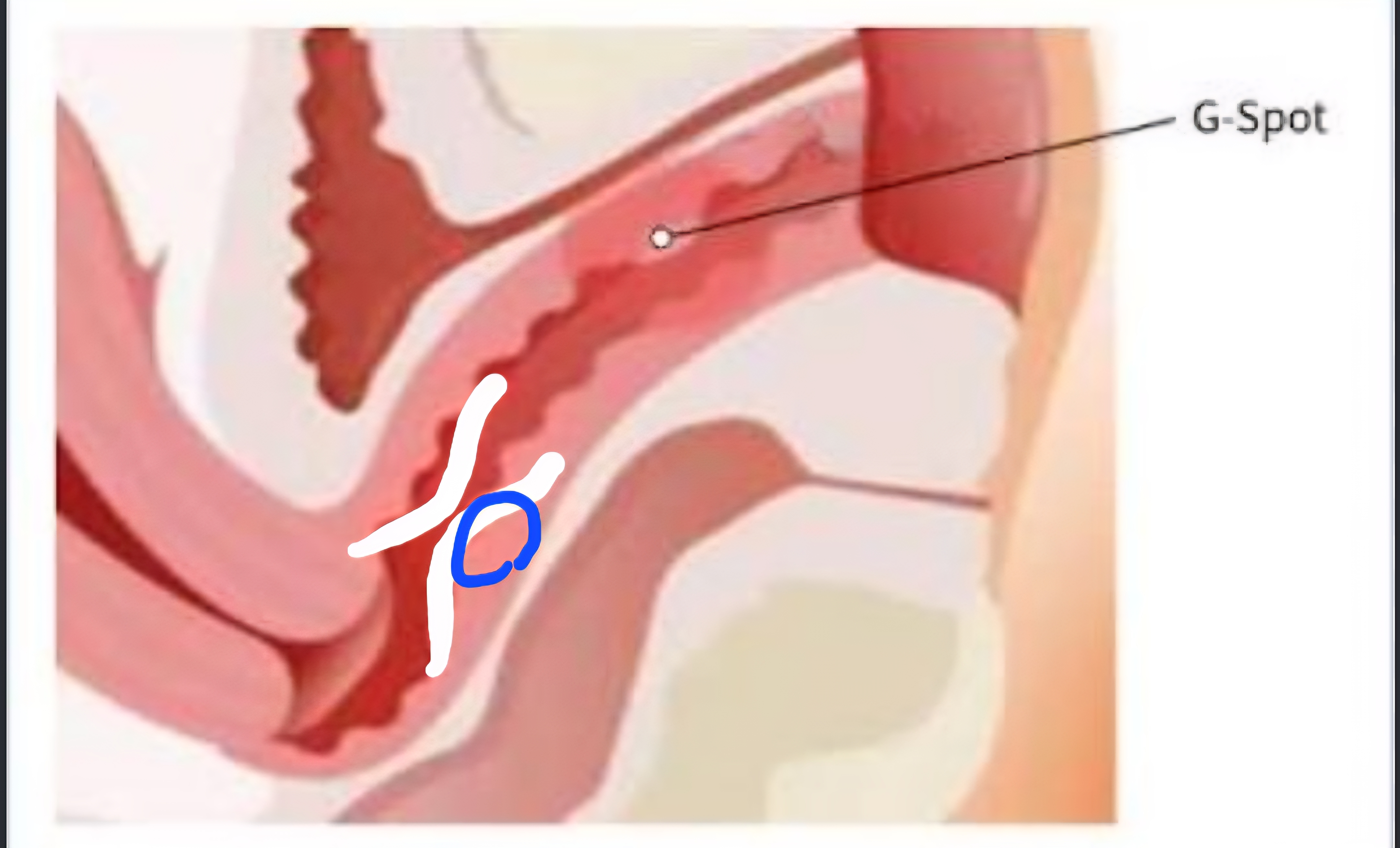circleImage